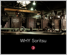 WHY Sorituページリンク